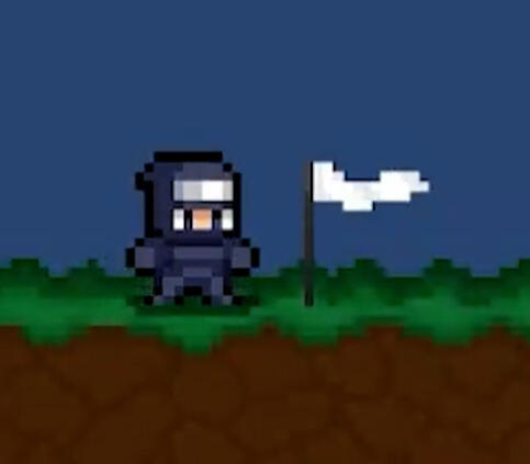 Ninja & Flag