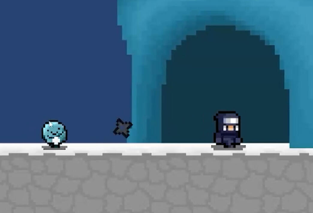 Ninja Ice Cave