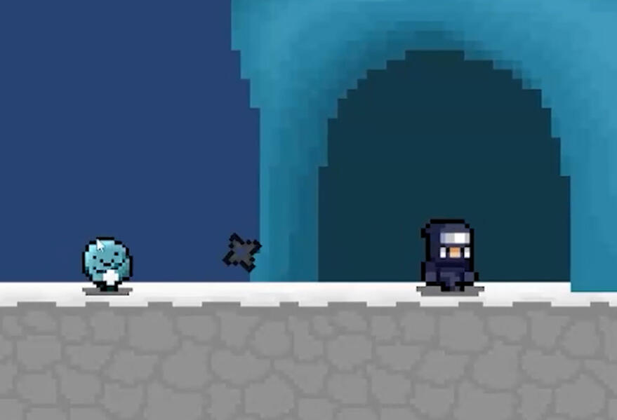 Ninja Ice Cave